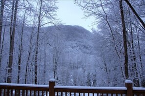 The view from the deck.