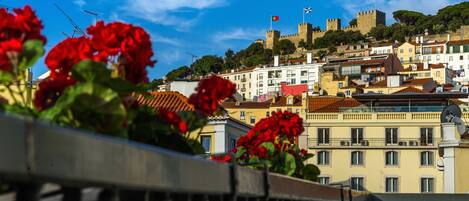 Vue depuis le balcon