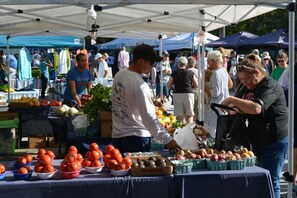 Farmer's market every Sunday 8am to 1pm Oct. thru May