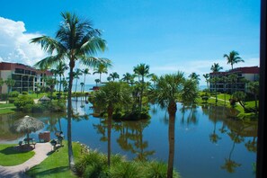 View from the lanai