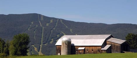 Bragg Hill Farm