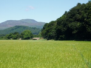 view from cottage