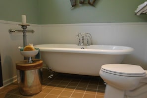 Free-Standing tub in Master Bath