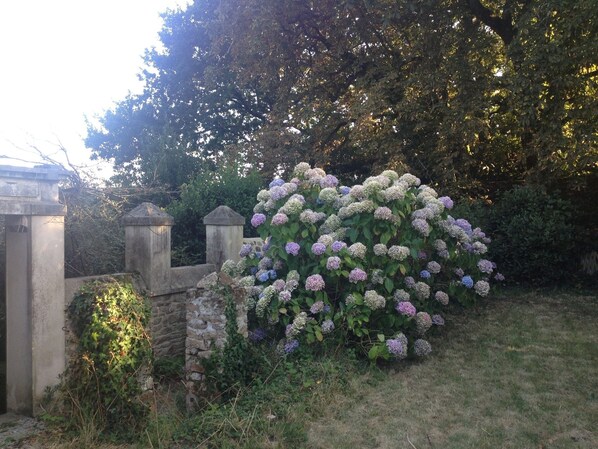 Jardines del alojamiento