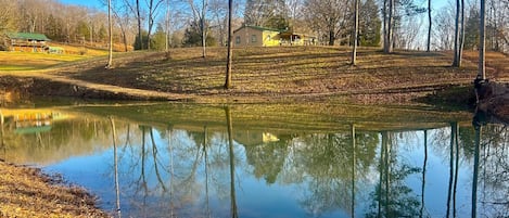 Enjoy the pond as you take a walk outdoors in this peaceful place.