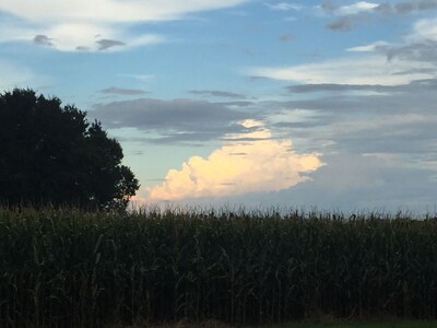 Cozy Farmhouse Near Mammoth Cave & Bowling Green