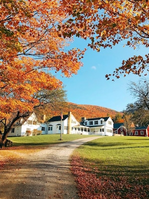 Entrance drive to your Barn