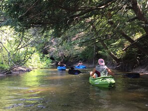 11 public access points throughout the Betsie river to kayak, canoe or fish!