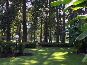 Courtyard view from back patio overlooking 18th waterfront hole of golf course