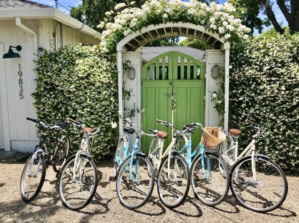 10 adult bikes with helmets and locks for touring Sonoma