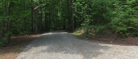 Driveway leading up to the cottage 