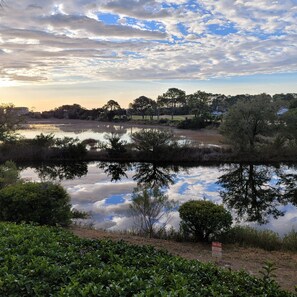 Gorgeous Views Everyday All Day from Private Balcony