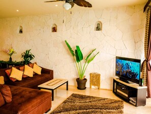 Entertainment center with Netflix, DVD, music, and multi-room ceiling speakers.