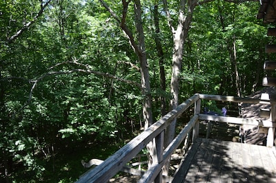 Log cabin on 25 acres