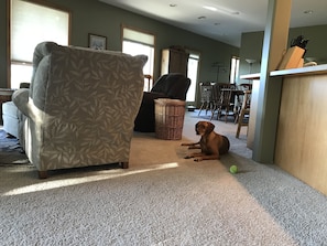 Pet friendly!