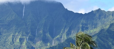 Mountain and waterfall view from living room, dining room, kitchen, master up.