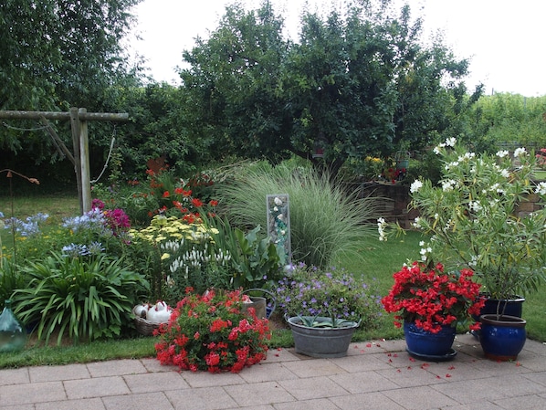 Le jardin