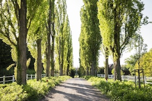 Boendeområde