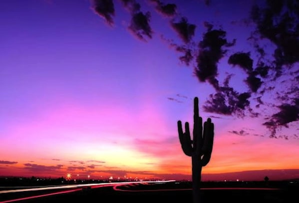 Phoenix Desert at Nightfall