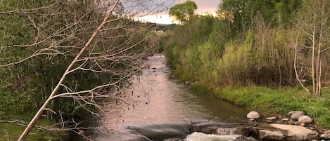 My swimming hole.  Right in my backyard. Good fishing, but C+R please!!!
