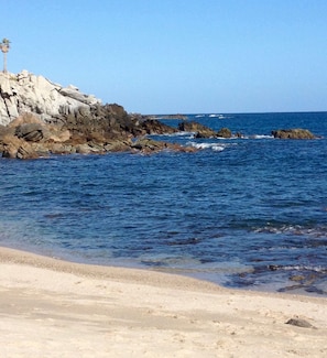 HAND-FEED the Fish! Secluded snorkel beach only steps away from your condo! 