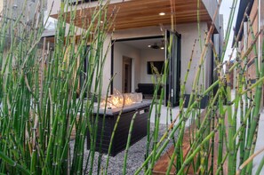 The horsetails are maturing nicely. Open the doors and enjoy the fire pit. 