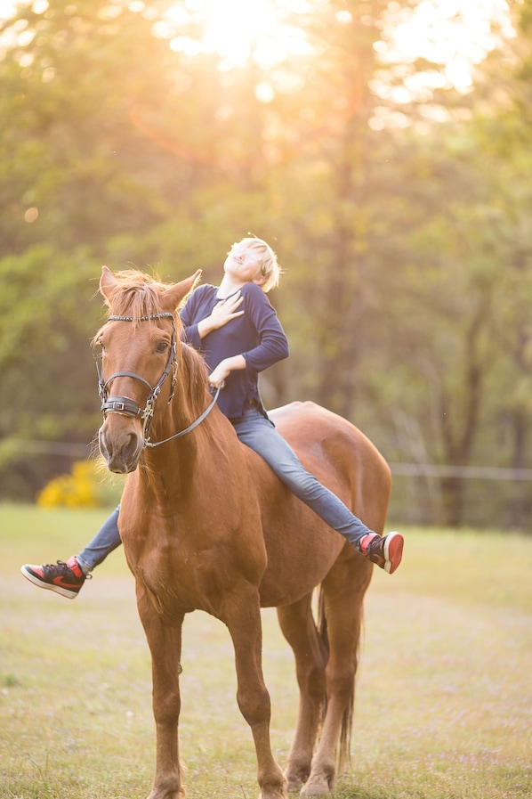 Arrange a trail ride for all ages and experience