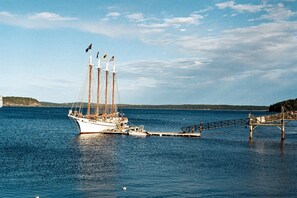 Stroll to the Harbor!