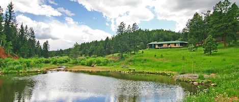 Spring at the pond