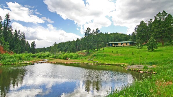 Spring at the pond