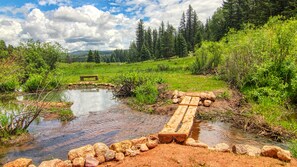 Our beaver pond home for some hard to catch wild Brook Trout