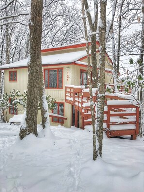 Snowy day on the mountain