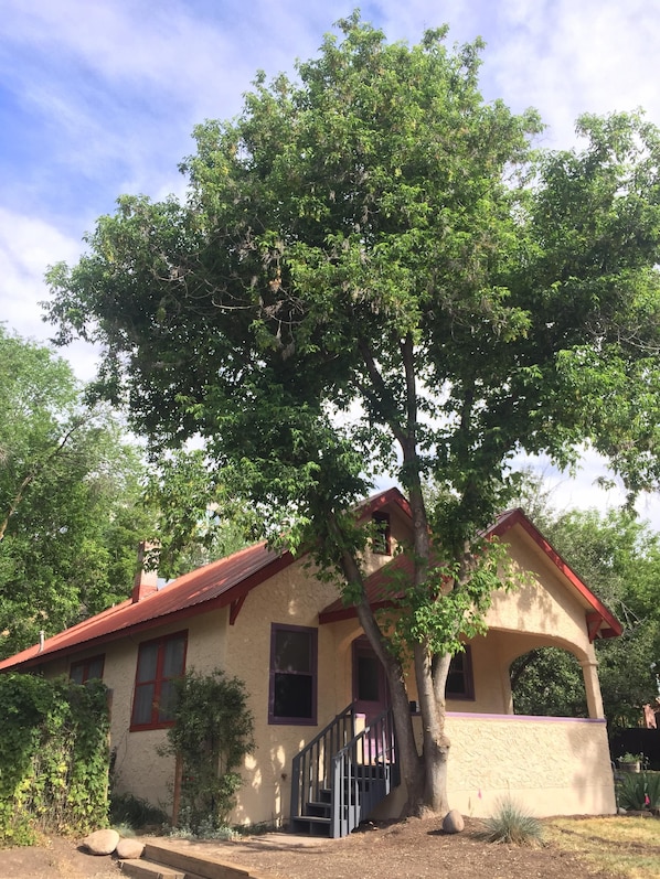 Historic Downtown Durango 