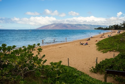 Stroll to Beach from Ocean View Condo with Pool & Rooftop Deck