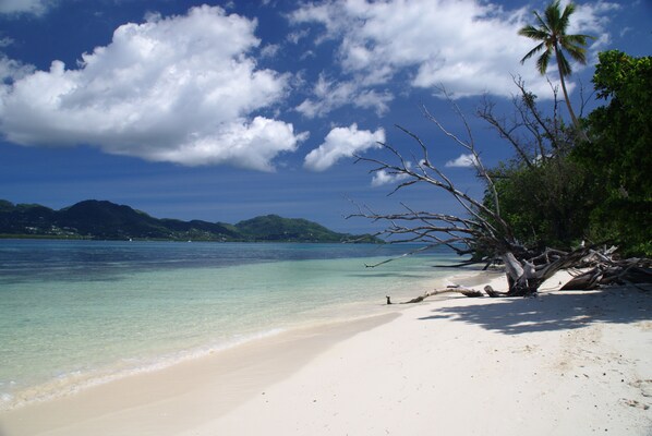 Playa