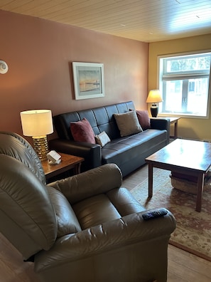 Living room with couch that has a fold down bed