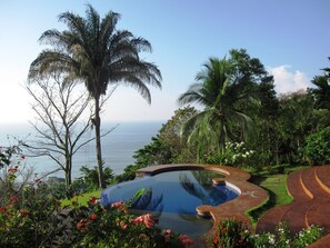 Relax In The Infinity Pool, Overlooking the Gulfo Dulce and Pacific Ocean