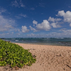 Walk to the Beach