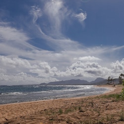 Walk to the Beach