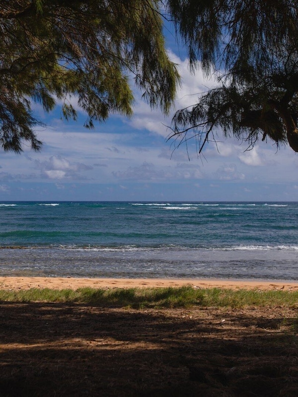 Walk to the Beach