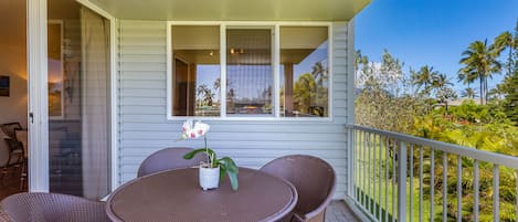 Outdoor Lanai off of Living Area