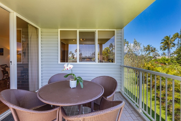 Outdoor Lanai off of Living Area