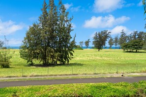 Distance ocean views from the private decks