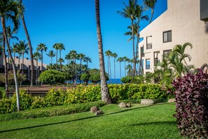 Beautiful Ocean And Garden Views