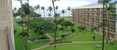 MS502B Lanai View