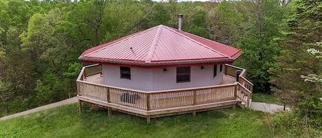 Treetop Aerial View