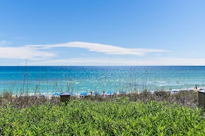 Playa
