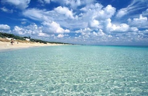 Strand