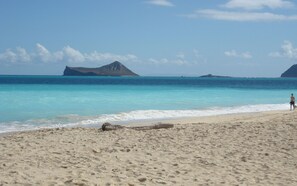 Waimanalo Beach was #1 in 2015, snorkel, swim and stroll. Shhh.keep the secret