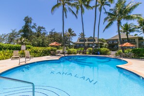 Heated Pool and BBQ area